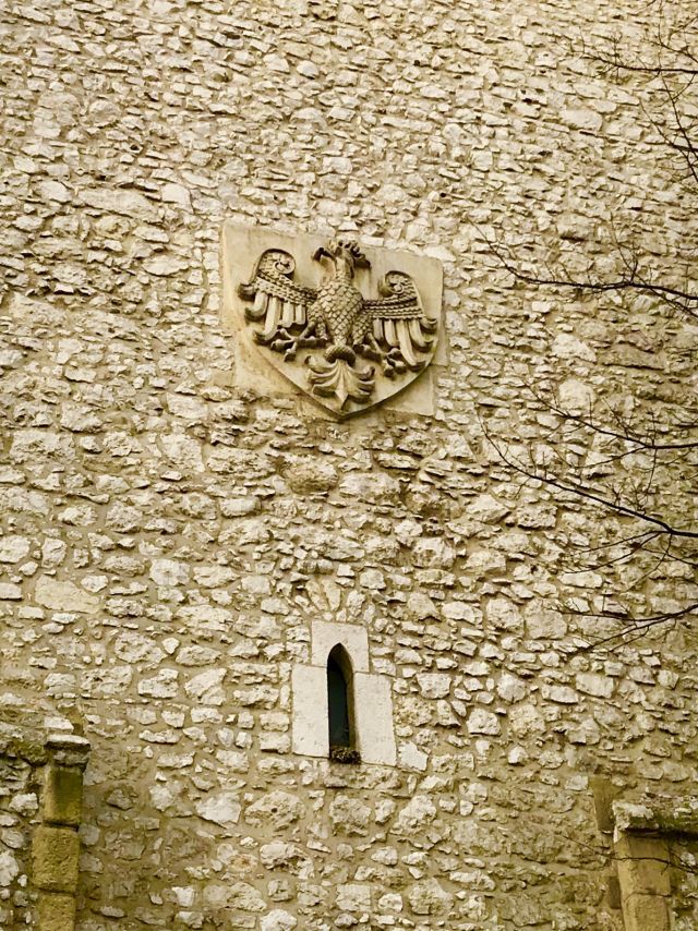 image102.jpg