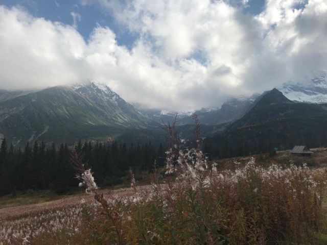 image095.jpg