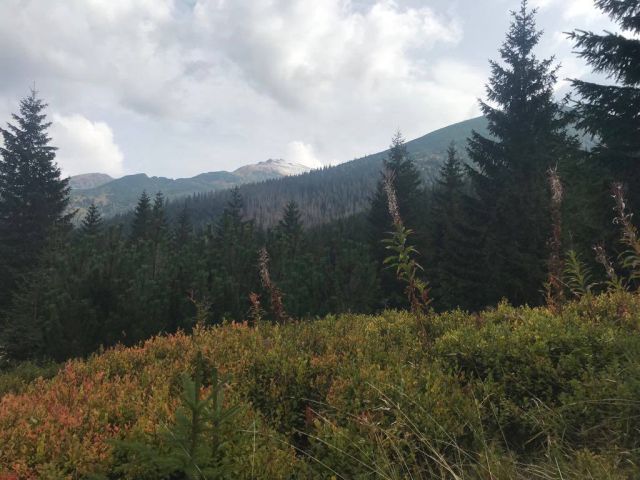 image103.jpg