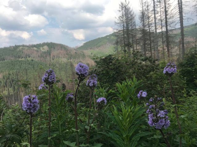 image116.jpg