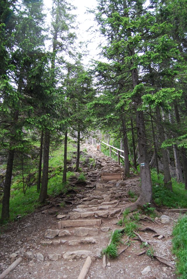 image117.jpg