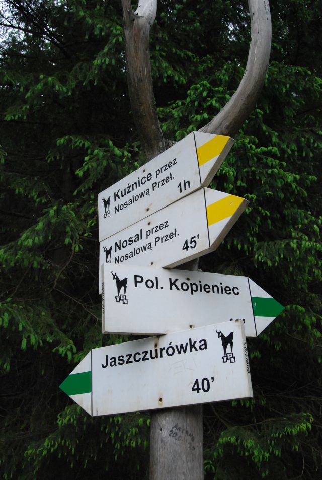 image118.jpg