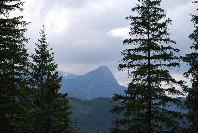 image119.jpg