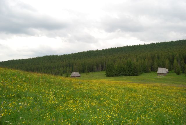 image120.jpg