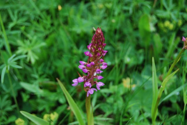 image126.jpg