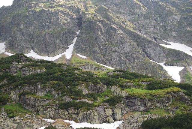image170.jpg