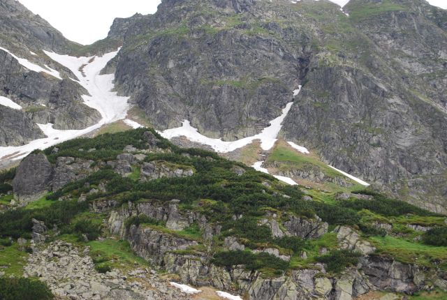 image172.jpg