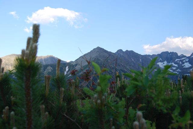 image177.jpg