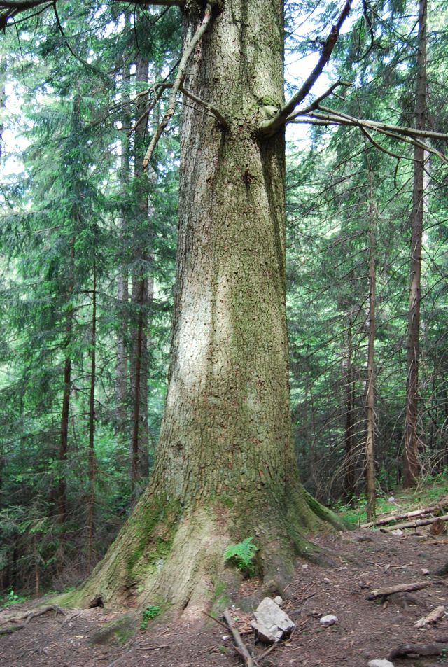 image185.jpg