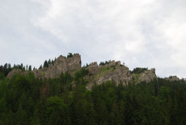 image188.jpg