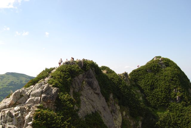 image206.jpg