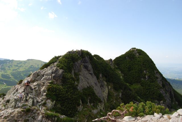 image207.jpg