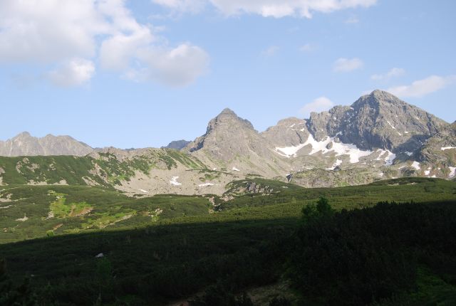 image231.jpg
