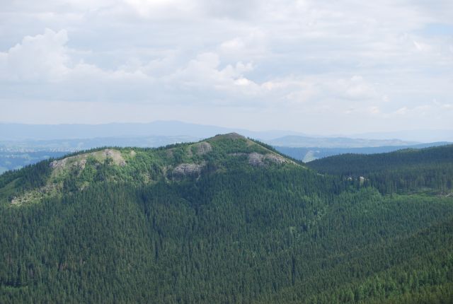 image232.jpg
