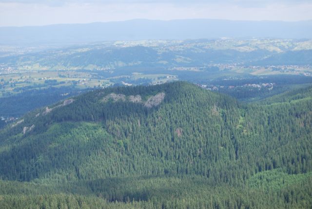 image233.jpg