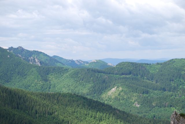image234.jpg