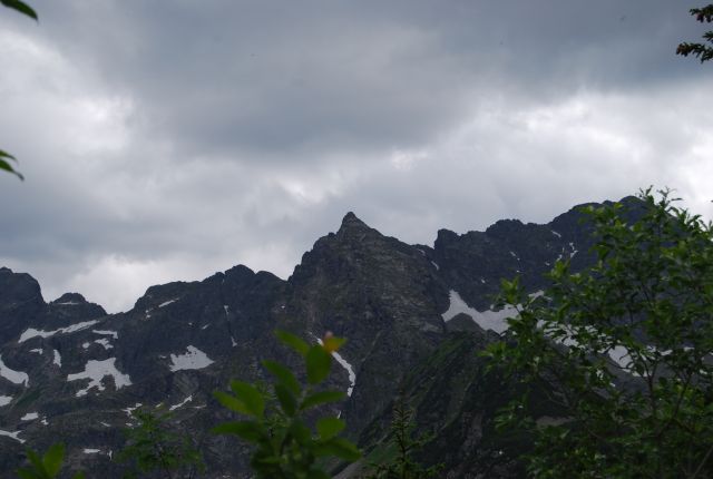 image237.jpg