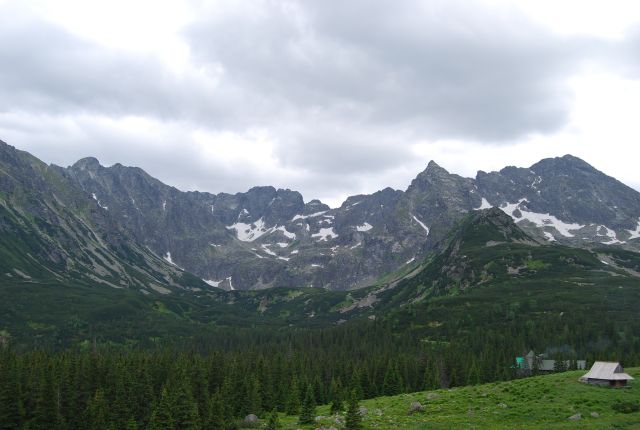 image239.jpg
