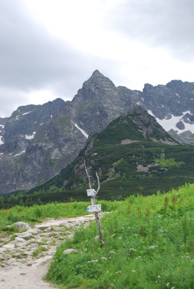 image241.jpg