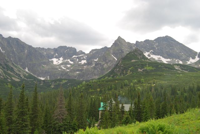 image242.jpg