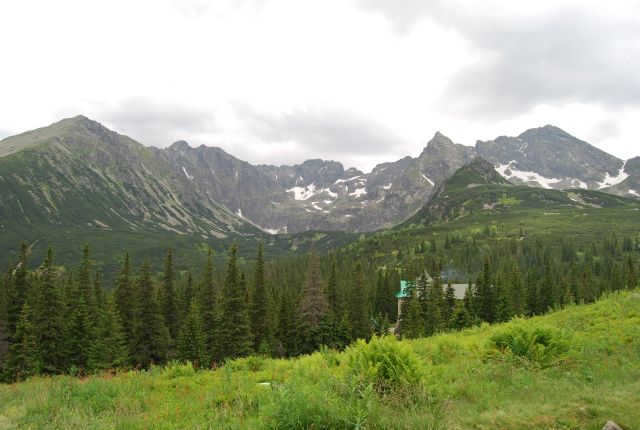 image243.jpg