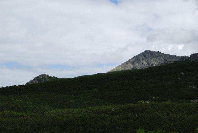 image246.jpg