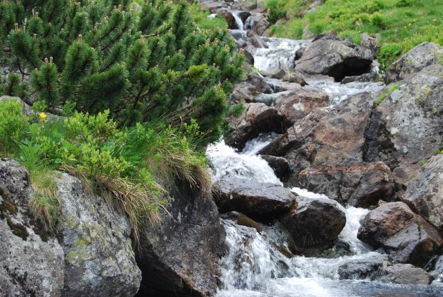 image248.jpg