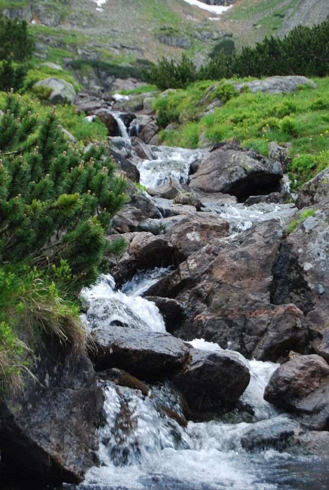 image250.jpg