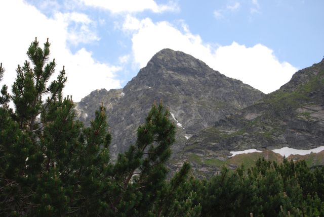 image251.jpg