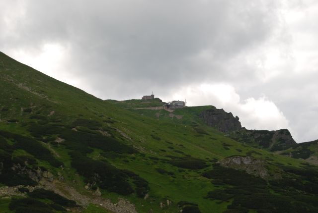 image256.jpg