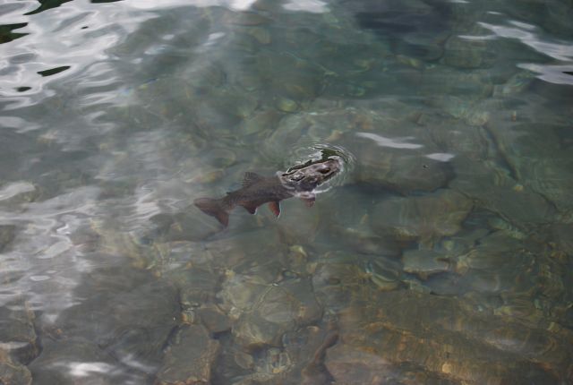 image257.jpg