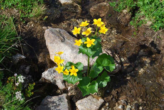 image259.jpg