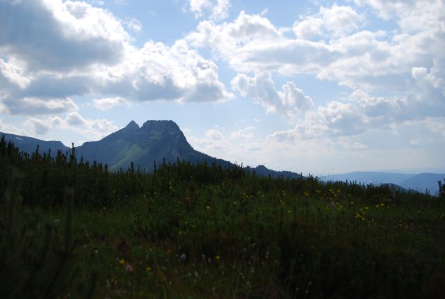image261.jpg