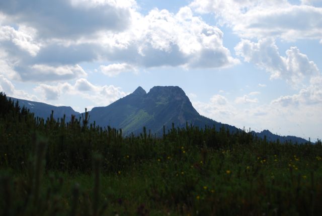 image262.jpg