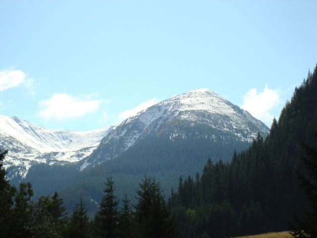 image264.jpg