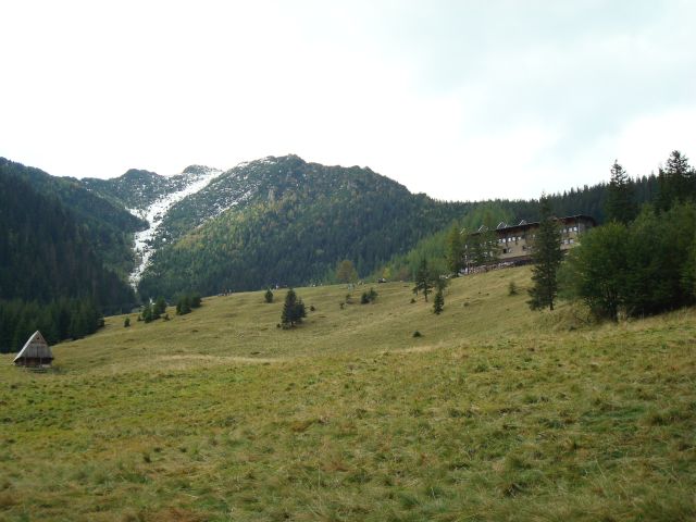 image266.jpg