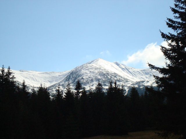image267.jpg
