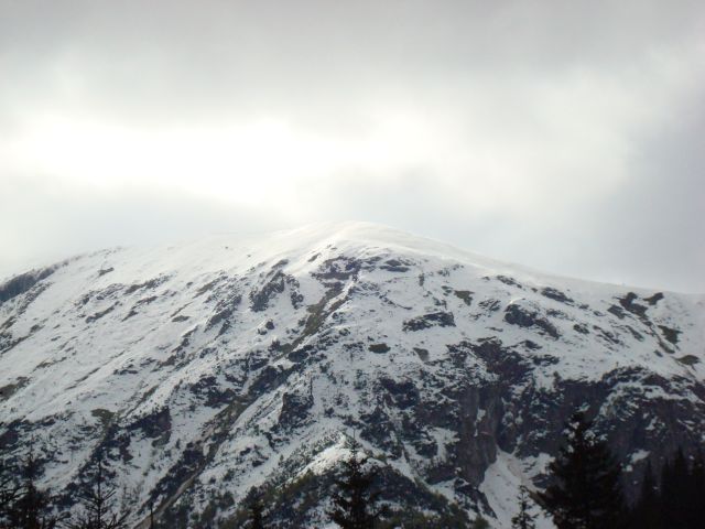 image268.jpg