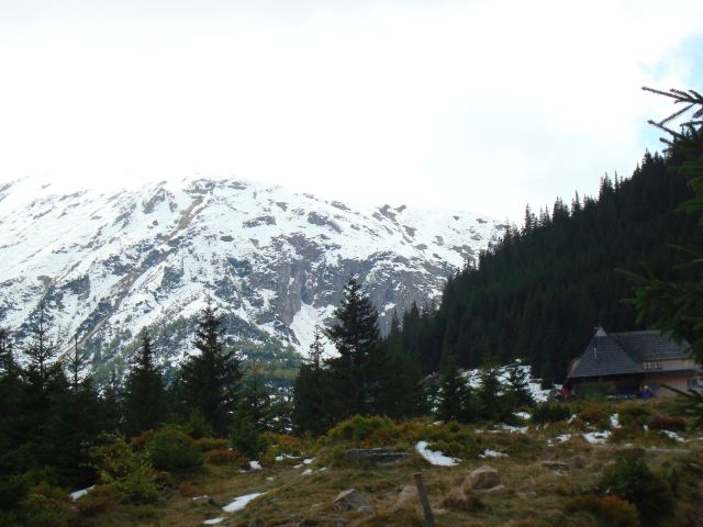 image269.jpg