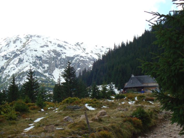 image270.jpg