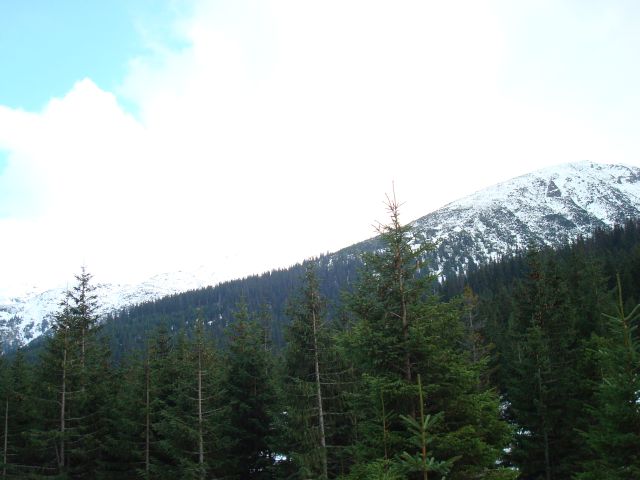 image271.jpg