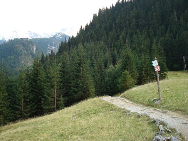 image272.jpg