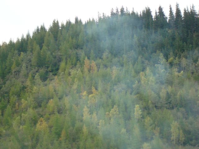 image275.jpg